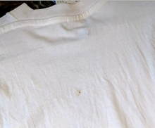 Load image into Gallery viewer, (1990&#39;s) Champion Tee